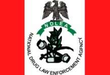 Seizures: NDLEA declares couple wanted, nabs four suspected barons
