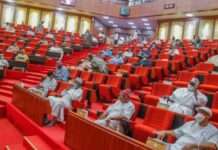 Senate wants stoppage of funds to LG caretaker committees