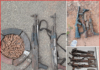 Police recover arms, arrest suspects in Ughelli forest killings