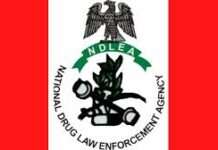 NDLEA confiscates 425.127kg illicit drugs, arrests 71 suspects in Kaduna