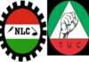 Electricity tariff hike: NLC to picket DISCOs, NERC offices on Monday