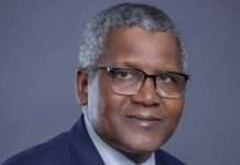 Oil mafia tried to stop our refinery, says Dangote