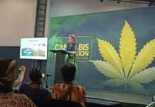 South Africa legalises cannabis use. Will the rest of Africa follow?