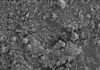 Microplastics discovered in human penises for the first time