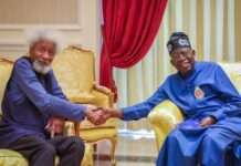 Tinubu approves naming Abuja Highway after Wole Soyinka