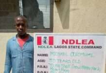 NDLEA seizes drugs hidden in imported chocolate packs in Lagos