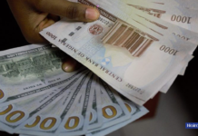 Naira trades N1,483/$ at official market