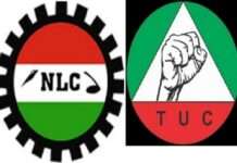 An indolent labour union and matters arising, by Hassan Gimba
