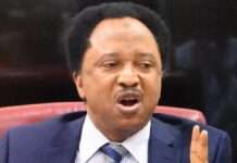 PDP, LP lawmakers not visible in NASS – Shehu Sani