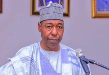 Borno: Primary School teachers jubilate as N70k minimum wage hits their accounts