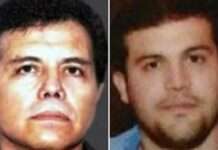 Leader of Mexico’s Sinaloa drug cartel arrested in Texas
