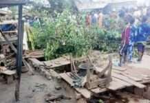 Four persons killed, many injured as trees collapse in Edo market, crushing people seeking shelter underneath