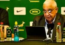 DStv wages big fight against Openview over broadcast of Springbok rugby test matches