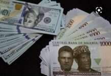 Forex: CBN sells $122.671m to 46 dealers