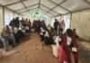 158 Nigerian irregular migrants to Libya repatriated, says Envoy