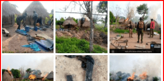 Troops neutralize terrorist, recover arms in Taraba Forest raid