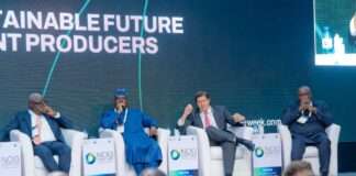 Seplat Energy canvasses optimization of Nigeria’ sub-surface potential
