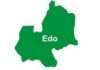 Edo Council chairmen resume work amid thickening removal plots