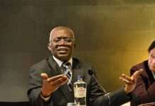 Dangote Refinery saga dangerous for Nigeria – Falana