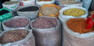 Food Crisis: FG to import maize, wheat, stabilise prices, plans aggressive farming
