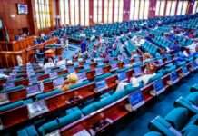 House of Reps rejects six-year single tenure for president, governors