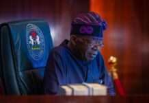 Tinubu appoints Tosin Adeyanju as NLTF Executive Secretary