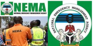 NEMA Steps Up Flood Response Efforts Across Nigeria, By Abdulkadir Ibrahim