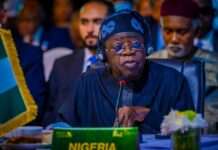 Tinubu signs development commission establishment bills into law