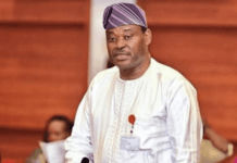 Nigeria yet to tap from $110bn revenue in global bitumen market, says Senator