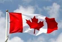 Japa: Canada lowers requirement for skilled Nigerian workers, others to secure permanent residency