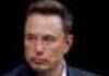 “Few Democrats willing to buy a Tesla” after Elon Musk backs Trump, investor warns