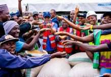 Ogun joins rice-producing states as Abiodun flags off harvest of 200-hectare plantation
