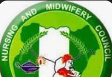 Nursing and Midwifery Council portal closure leaves Nigerian nurses stranded, unable to pursue overseas opportunities