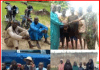 Nigerian Army captures Boko Haram commanders, arrests logistics suppliers