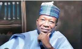 NILDS DG faces scrutiny as former chief of staff requests academic records from University of Abuja
