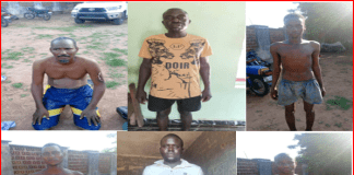 Troops arrest criminals, terrorists in sweeping operations across Taraba