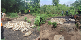 Troops intensify crackdown on illegal bunkering in Delta, dismantle camps near Imo River