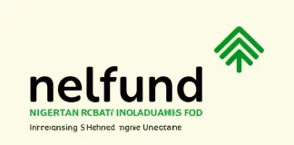 Ex Rep Member Repays Federal Government Student Loan with N3,189,217.00 to NELFUND