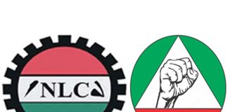 Minimum Wage: Strike begins in five states, FCT