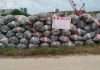 NDLEA seizes U.S., Thailand, Canada-bound drugs in Lagos