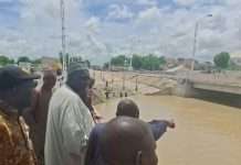 Zulum moves to avert flood disasters in Borno