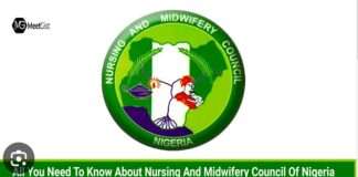 Charging ₦68,875 for verification excessively exploitative, nurses react