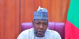 Minimum Wage: Zulum sets machinery in motion for payment, approves implementation committee