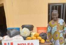 NDLEA intercepts N14.9bn opioids, arrests octogenarian, community leader’s wives, son