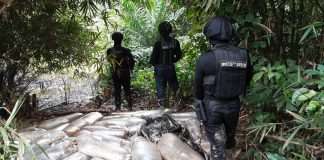 NSCDC uncovers illegal refinery in Rivers’ thick forest