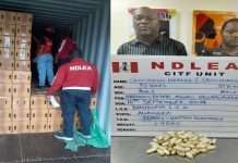 NDLEA nabs brothers for drug trafficking, seizes 2.4m drugs