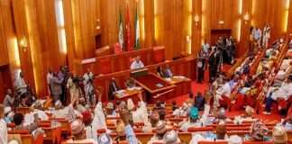 Senate lauds Information Minister on performance, seeks special budgetary intervention for ministry