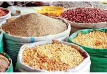 FG has procured imported staple foods to tackle shortages — Edun
