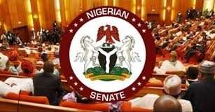 Northern Senators Forum calls for urgent restoration of power in Kano, Katsina, and Jigawa States