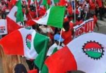 NLC executives meet next week to decide on fuel price hike protest